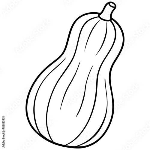 vector illustration of a squash 