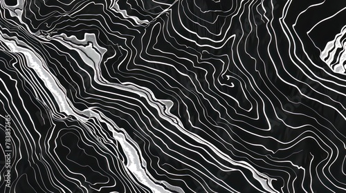 An abstract vector background of a black and white topography contour map