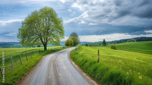 A picturesque scene of a country road winding through lush green farmland