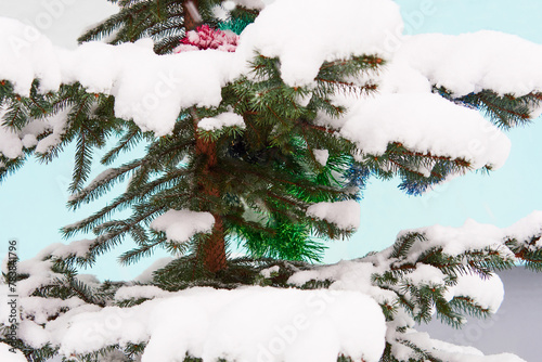 beautiful snow covered city trees on a cloudy winter day. snowy trees. postcard. desktop. blank for designer