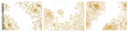 chrysanthemum flower pattern, gold, hand drawing, duotone. Vector illustration for invitation card, wedding, pregnant woman with free space for text.
