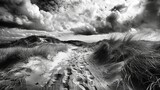 Artistic black and white photograph of sand dunes