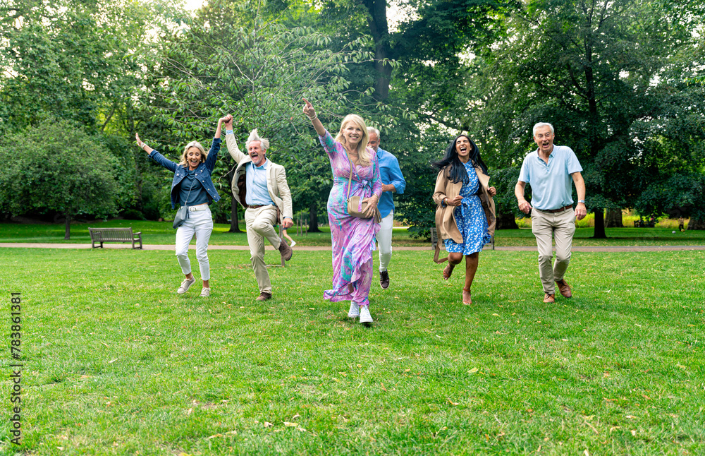 Fototapeta premium Group of seniors run happy in the park and play together joyful. Old friends spending time together in the main parts of london, visiting the westminster area and st. james park