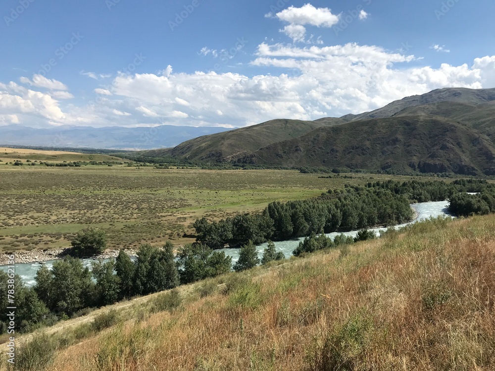 Obraz premium landscape in the summer