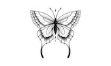 butterfly tattoo design Hand Drawn Butterfly Vector illustration