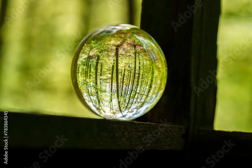 Liquid filled glass ball reflects trees creating a mini yard globe art piece