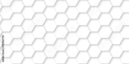   Background grid digital white creative mosaic light lines 3d Hexagonal structure futuristic white background and Embossed Hexagon   honeycomb white Background  light and shadow  Vector.