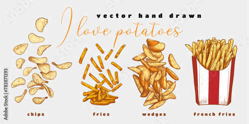 I love potatoes. Variety of cooked potatoes such as chips, fries, wedges, french fries. Hand drawn vector cooked potatoes. 