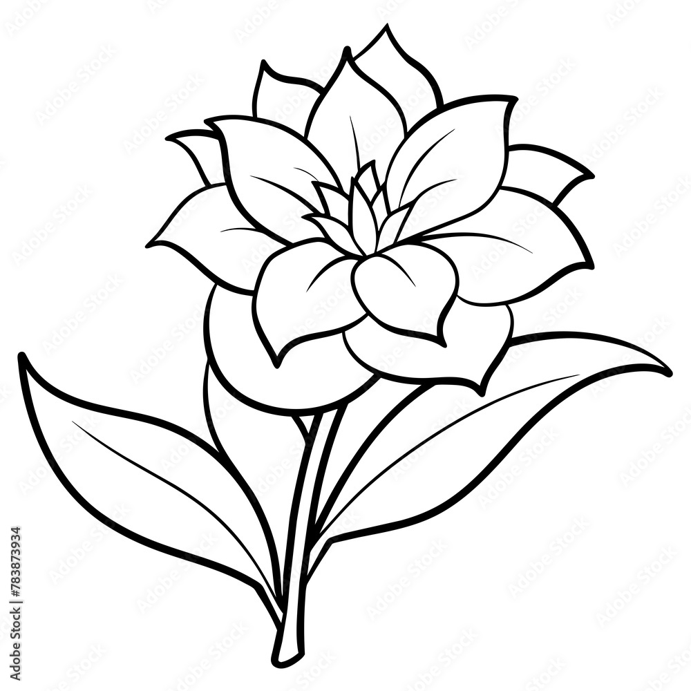    Flower vector illustration with line art.