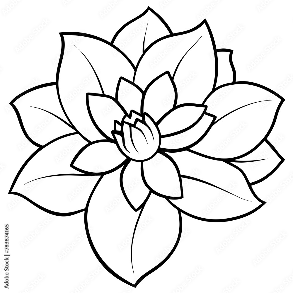Flower vector illustration with line art.
Flower vector illustration with line art.