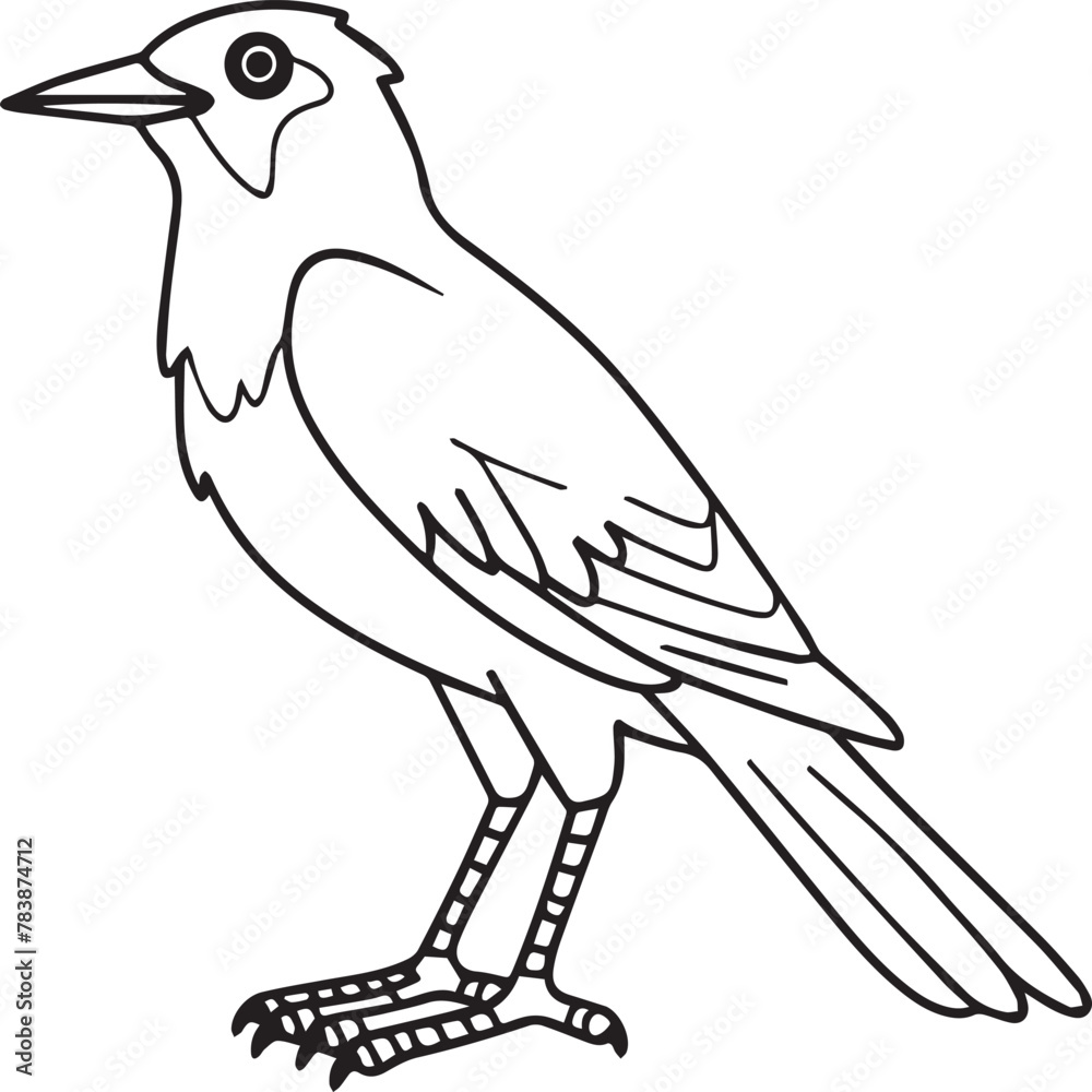Obraz premium Magpie Flying Bird for children. Coloring book. Bird Vector illustration. Magpie coloring pages