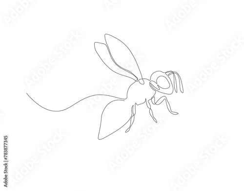 Continuous line drawing of bee. One line of flying bee. Flying insects concept continuous line art. Editable outline. photo