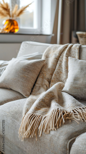 Detail shot of a decorative throw blanket draped over a sofa in a living room, scandinavian style interior