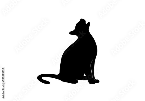 The silhouette of a meowing cat with open mouth sitting looking up