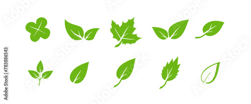Green leaf icons set. Elements design for natural, eco, vegan. Leaves icon on isolated background. Collection green leaf. Vector