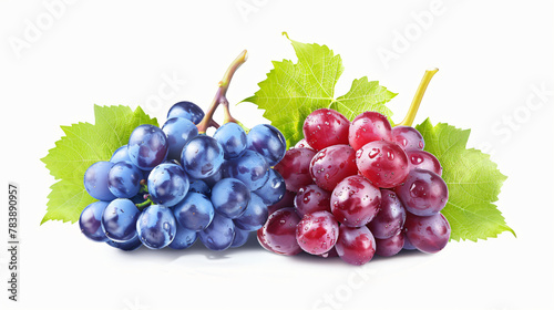 Red and blue grapes with leaves isolated