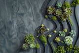 A rock garden with a variety of plants including succulents and cacti. The plants are arranged in a way that creates a sense of movement and flow