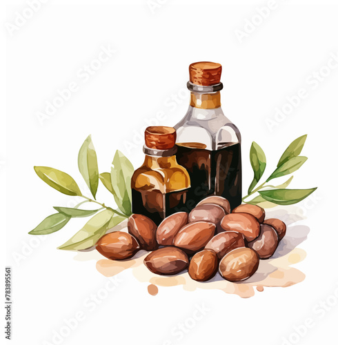 Watercolor drawing vector of a argan oil, isolated on a white background, clipart image, Illustration painting, design art, argan nut vector, Graphic logo, drawing clipart. 