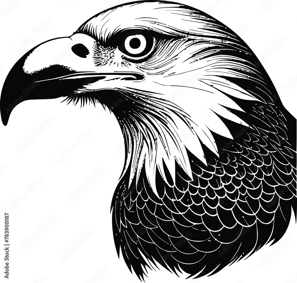 Fototapeta premium A close-up eagle black-white silhouette