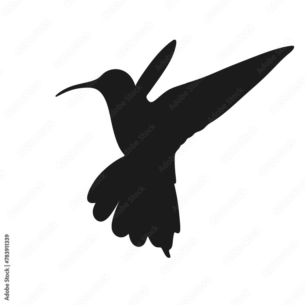 Obraz premium hummingbird