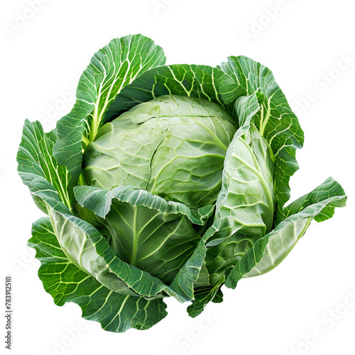 green cabbage isolated on transparent background
