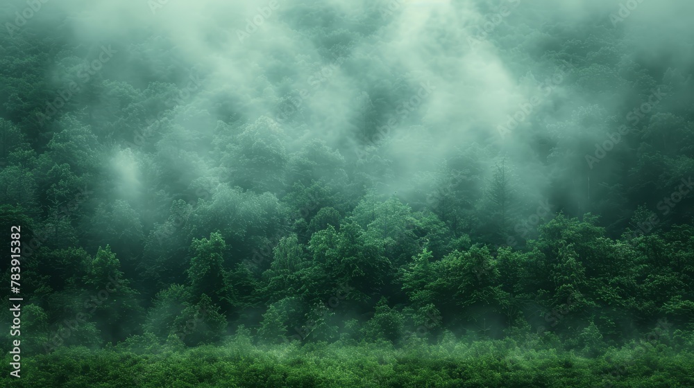   A forest teeming with countless green trees shrouded in a thick, distant fog - obrazy, fototapety, plakaty 
