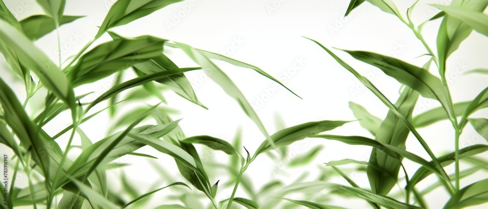 Blurred upper portion of the plant Blurred upper portion of the plant