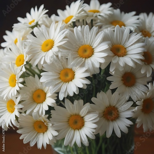 Bouquet of daisies  flowers  daisie