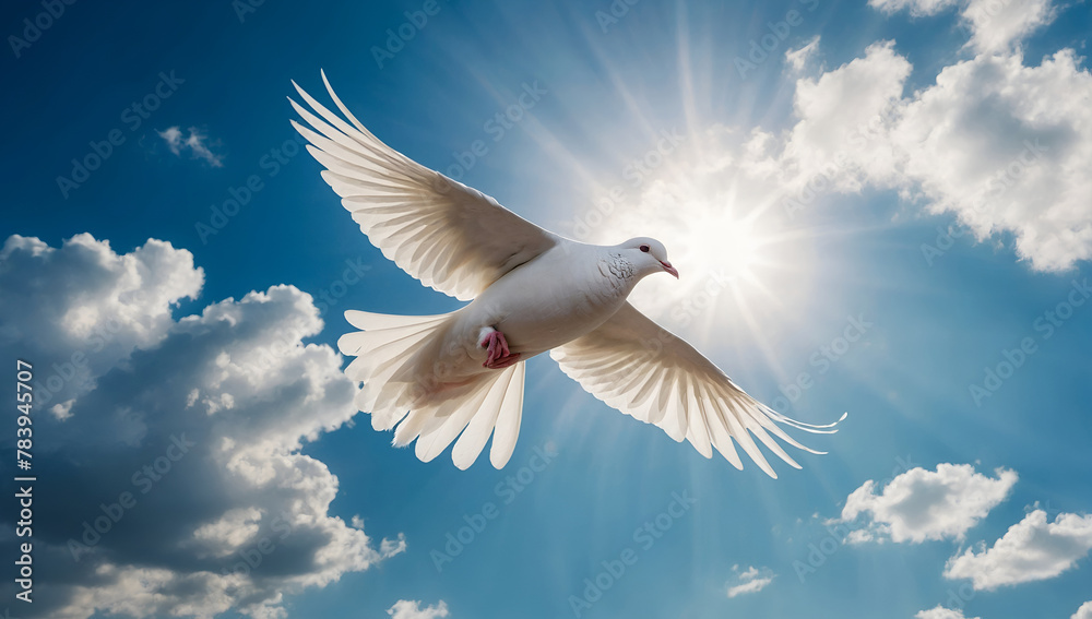Fototapeta premium peace dove 