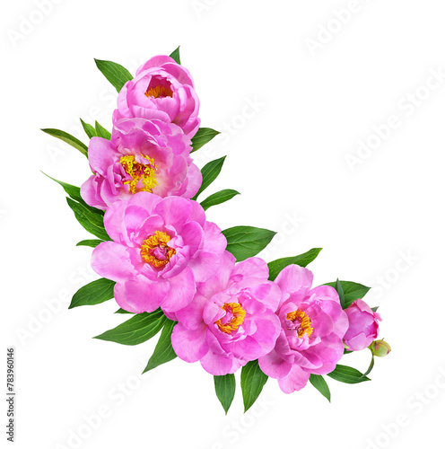 Pink peony flowers in a rou...