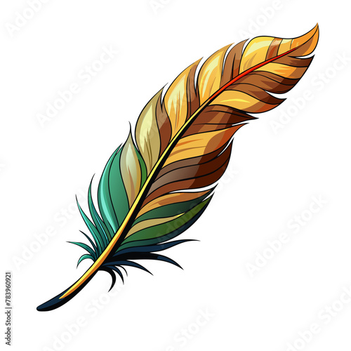 Colorfu birdl feather on white background