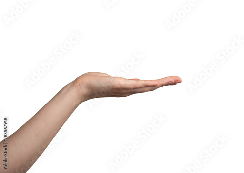 Cuadro en lienzo Hand palm stretching out, offering, showing gesture, isolated on white backgroun