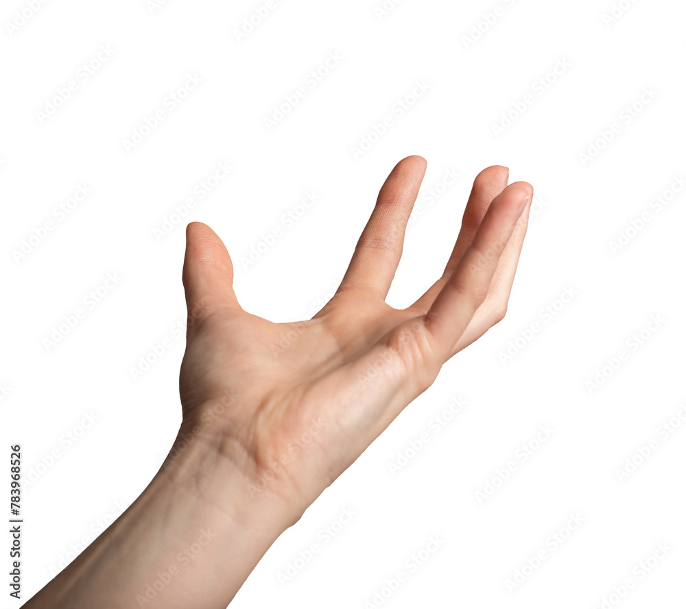 Hand palm holding something big, huge, taking gesture, isolated on white, transparent png Hand palm holding something big, huge, taking gesture, isolated on white, transparent png