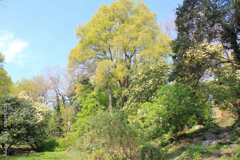 Spring in the Sea Garden of Varna (Bulgaria)
