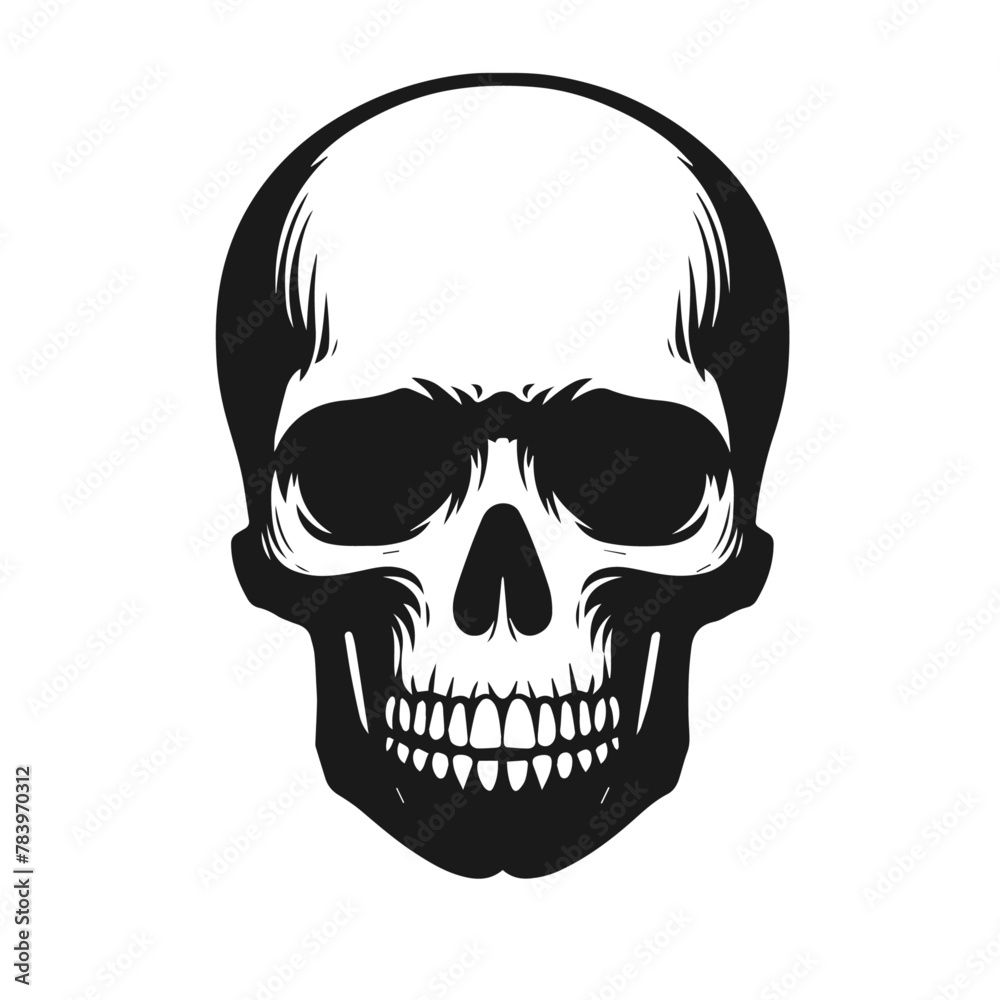 Realistic human skulls front and side views set isolated on white background vector illustration Realistic human skulls front and side views set isolated on white background vector illustration
