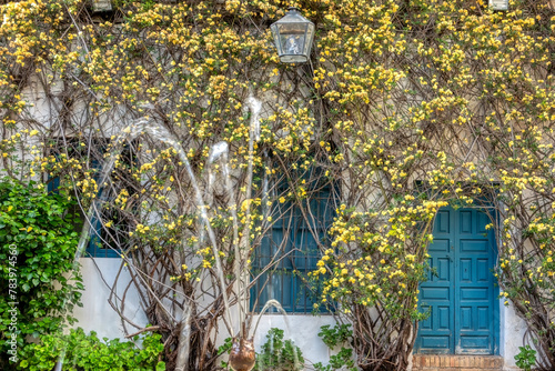 Cordoba, Andalusia, Spain. Facade decorated with flowers and blue door behind the water jets of a fountain in a typical Andalusian patio photo