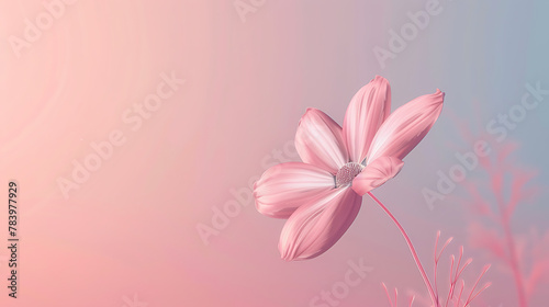 Beautiful colorful flower backgrounds are used for presentations or framed photos. Text background