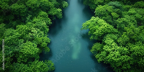 Serene River Flowing Through Verdant Forest