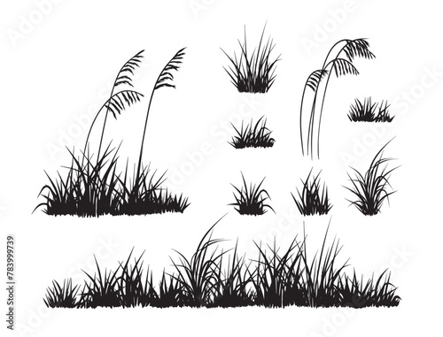 Beach grass, reed silhouettes collection. Vector elements isolated on white. 
