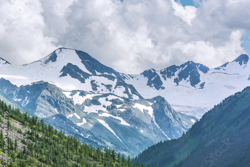 View of snow-capped mountain peaks and coniferous forest on the mountainside