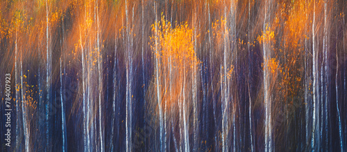 Abstract blurred forest with trees in various shades of brown and orange photo