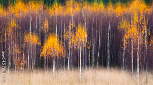 Abstract blurred forest with trees in various shades of brown and orange