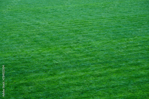Sports field covered with fresh green grass.