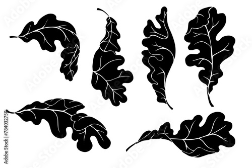 Set of botanical silhouettes of oak leaves.Vector graphics.
