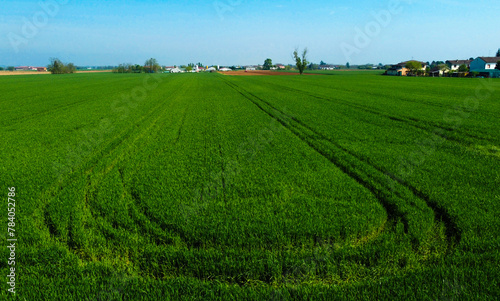The color of the fields from the drone, San Giuliano Nuovo, Alessandria, Piedmont, Italy
