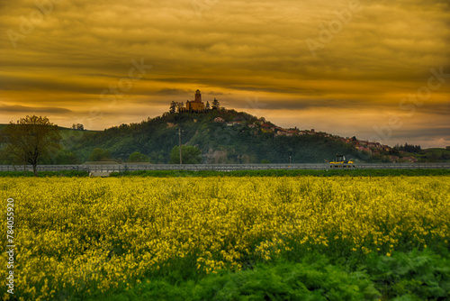 Rapeseed field with Montecastello background, Alessandria, Piedmont, Italy