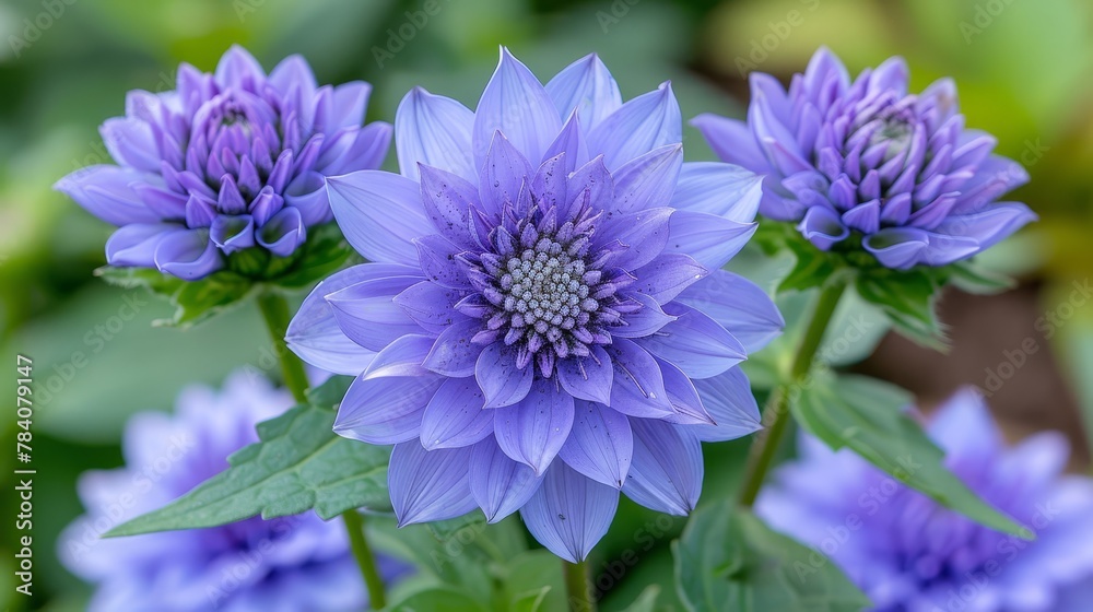 A tight shot of a purple bloom against a backdrop of green foliage, softly blurred background A tight shot of a purple bloom against a backdrop of green foliage, softly blurred background