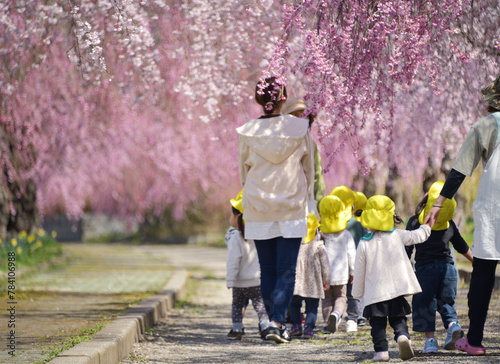 春・桜・園児の散歩