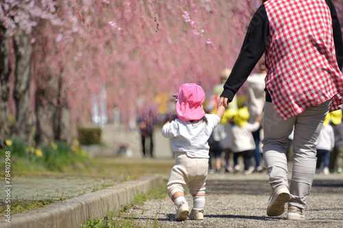 春・桜・園児の散歩