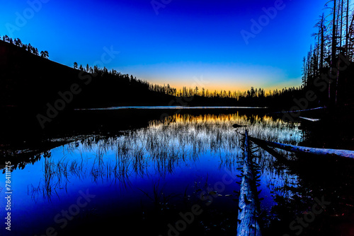 Blue hour over mountain lake with trees, grass, log